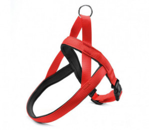 Record kangast punased traksid koertele 2.5x63-70 cm