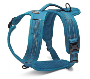 Braces Record Action Alpi koertele 48-57 cm