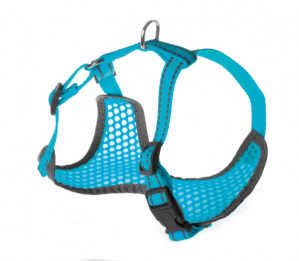 Lences Record Pettorine suņiem 42-50x47-65 cm
