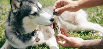 Svarbiausi papildai ir vitaminai Jūsų augintiniui