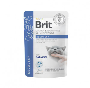 Brit Grain Free Veterinary Diets Recovery konservtoit kassidele 85g