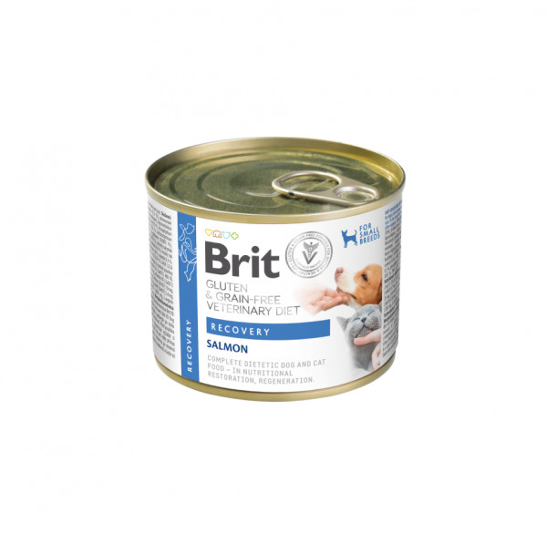 Teraviljavaba terapeutiline konserv Brit Grain Free Veterinary Diets Recovery koertele ja kassidele 200 g - Simba.ee